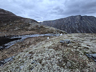 hjelmeland_20241027_671ea09418a5f.jpg
