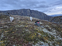 hjelmeland_20241027_671ea09649e06.jpg