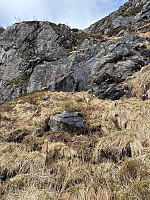Polarjoen_20250418_680275a90730f.jpg