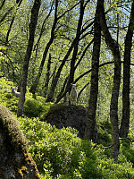 Polarjoen_20250517_6828ac09973d7.jpg