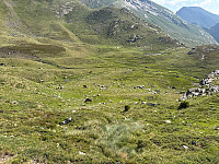 Polarjoen_20250725_688305b057974.jpg