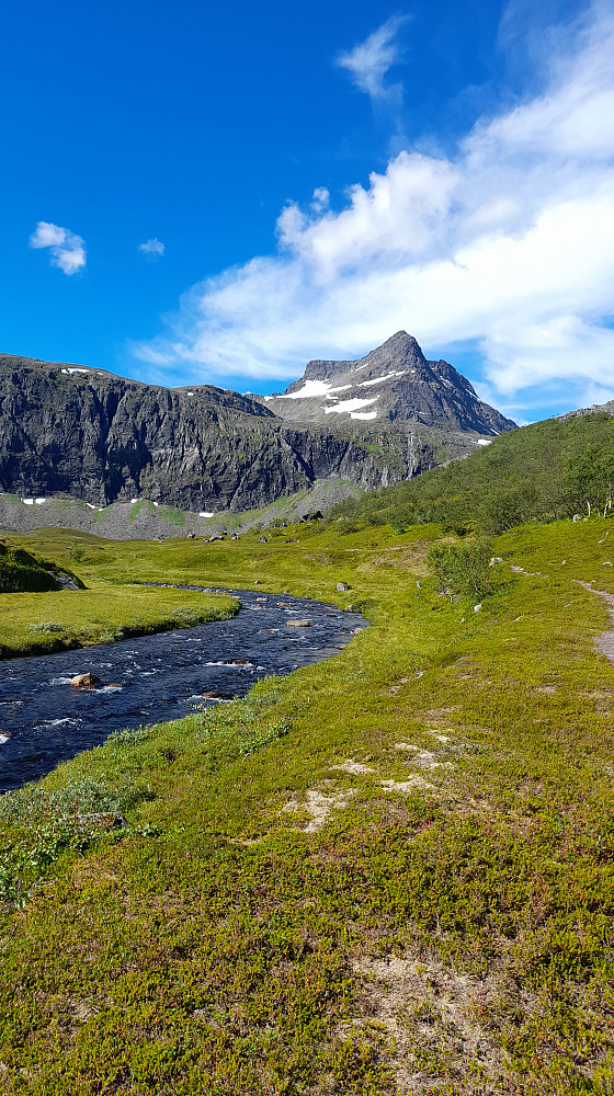 Velkommen til idylliske Arnøya! "sier" Sukkertoppen