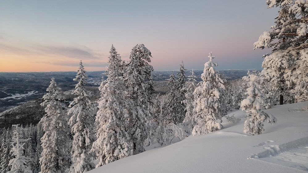 Mot nord fra Snaukollen.