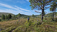 BeHe_20240813_66bb59d86e331.jpg
