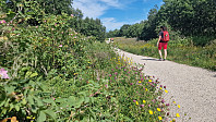BeHe_20250713_68739cd5e6773.jpg