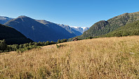 BeHe_20250825_68ac9cc47f63a.jpg