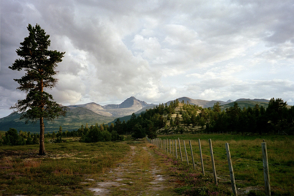 Fin dag i Rondane