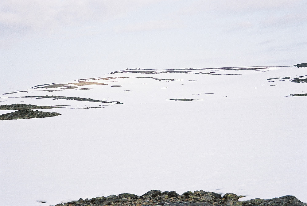 Svartfjellhytta i sikte, fortsatt mye snø ...