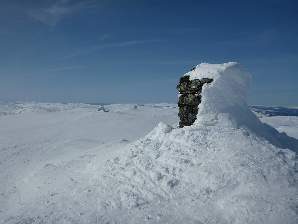 Toppvarden