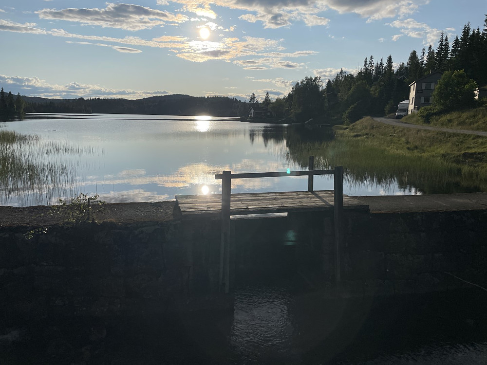 Mylla i kveldssola