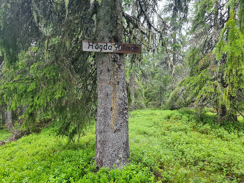 Storseterhøgda
