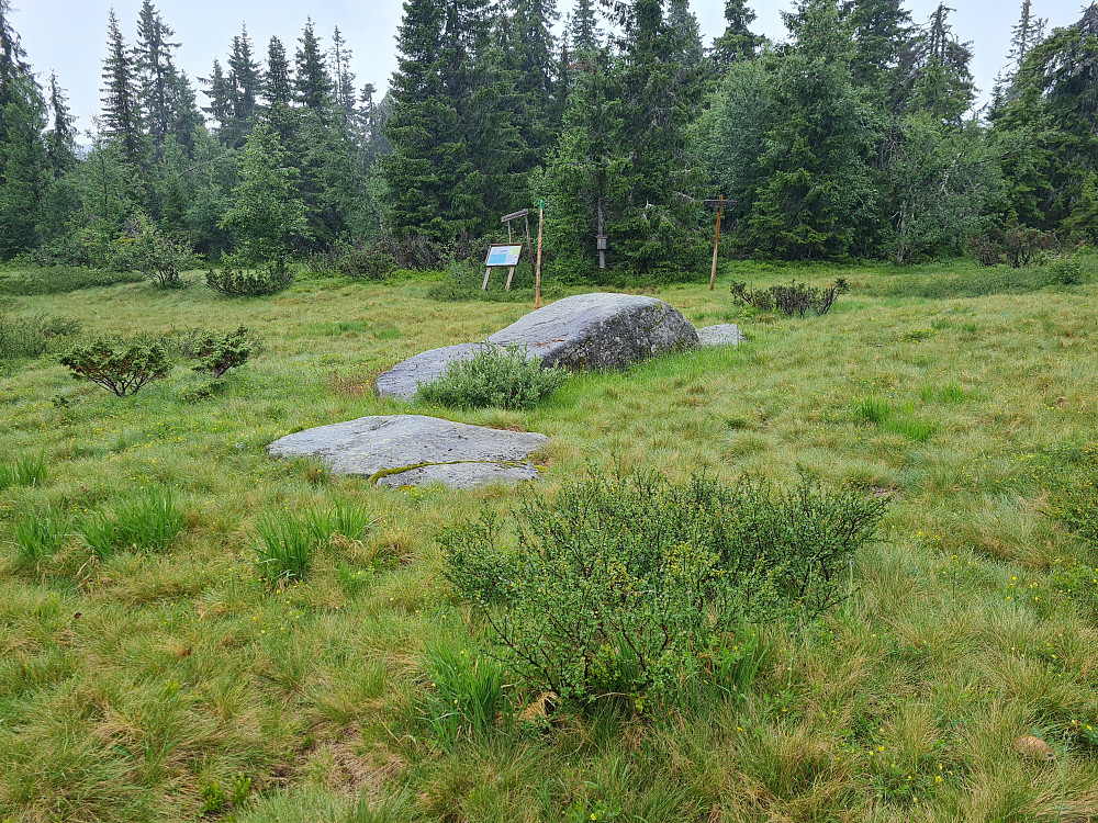 Klininggrautsteinen