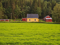 repelo_20210714_60ef40351c6ad.jpg