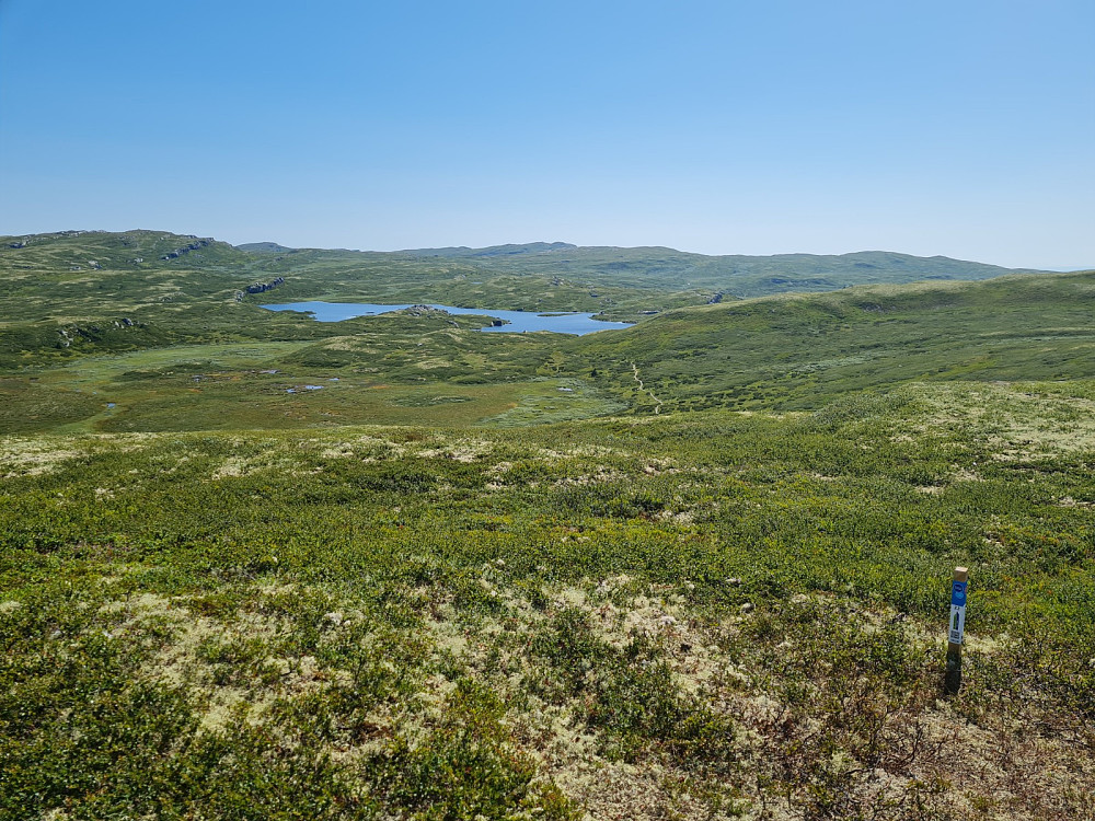 På Røgnhøgda, mot Gråkampen og Storrøgna