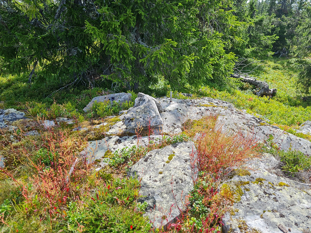 Rindåsen trigpunkt