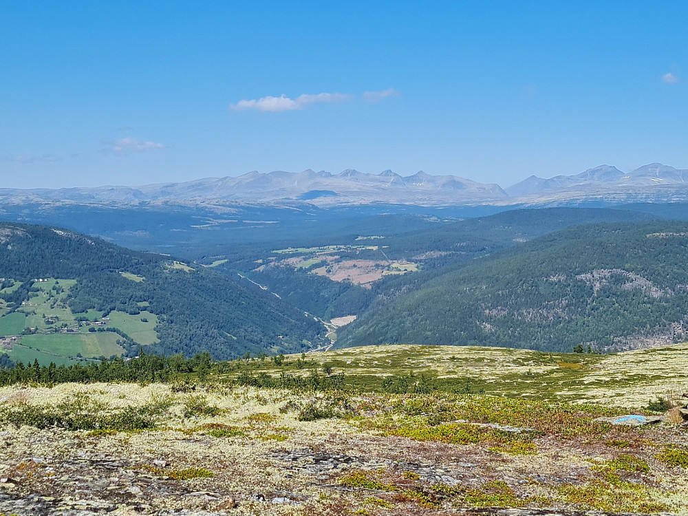 På Teigkampen, mot Rondane