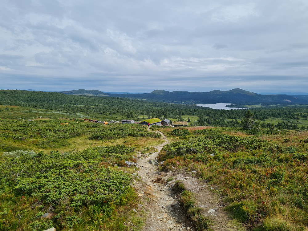 Gammeldalssetra til Holen