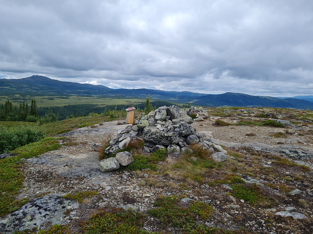 På Storhaugen, mot Djuptjernskampen