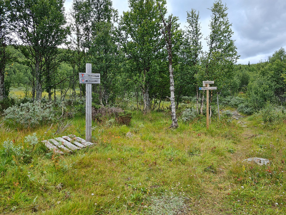 Ved Melgardsetra