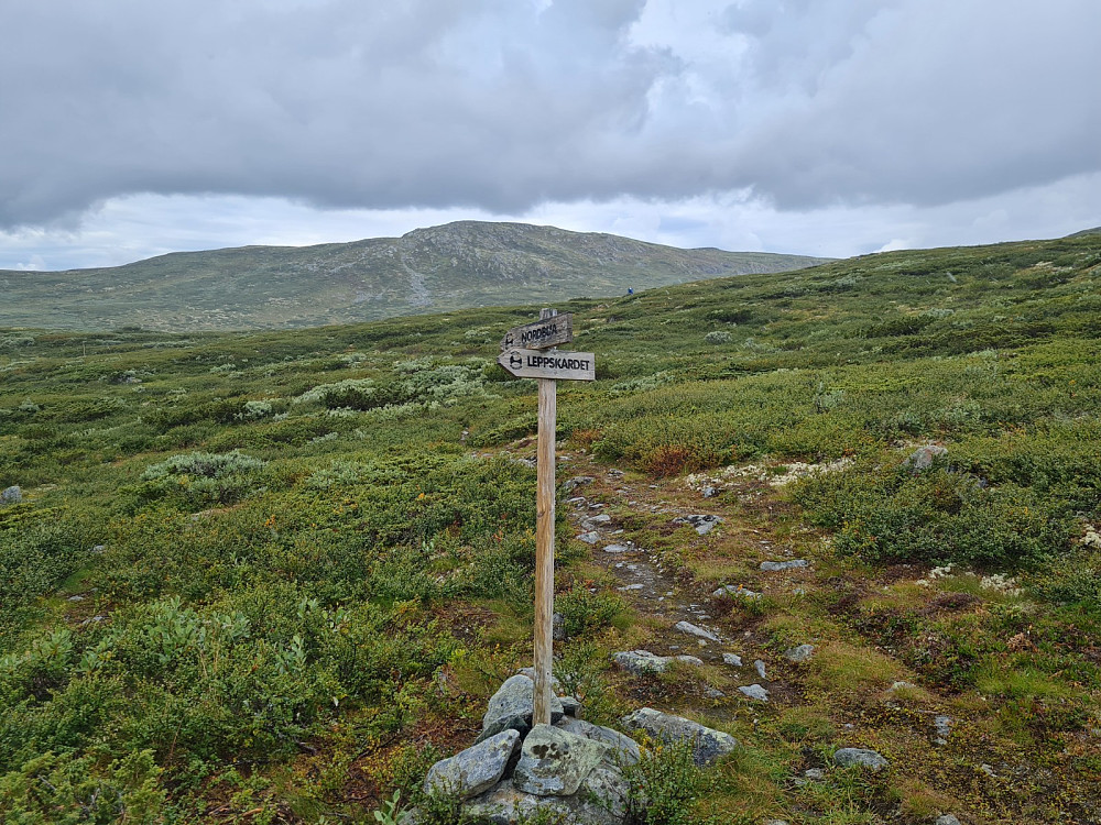 Stylskaret