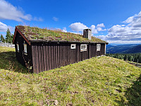 repelo_20210817_611bbc934cd40.jpg