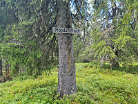 repelo_20210817_611bbc9533372.jpg