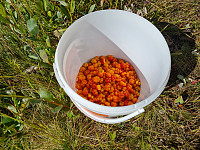 repelo_20210817_611bbc95df39d.jpg