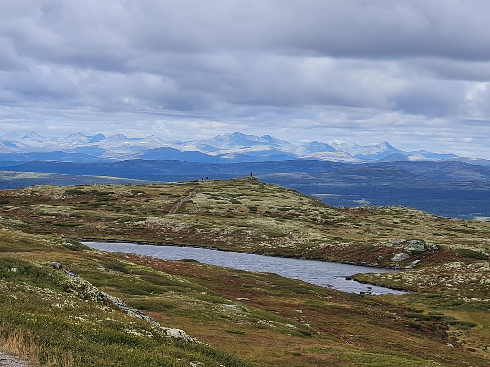På Goppollfjellet, mot Rondane