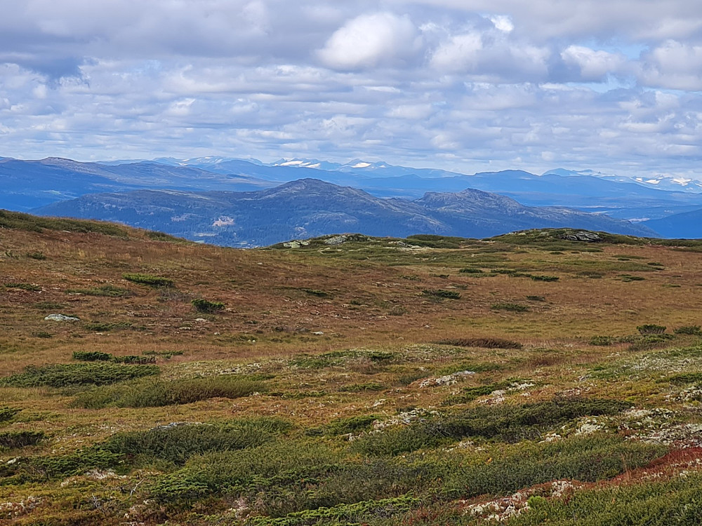 På Goppollfjellet, mot Svangkampen og Djupdalskampen, med Jotunheimen i bakgrunnen