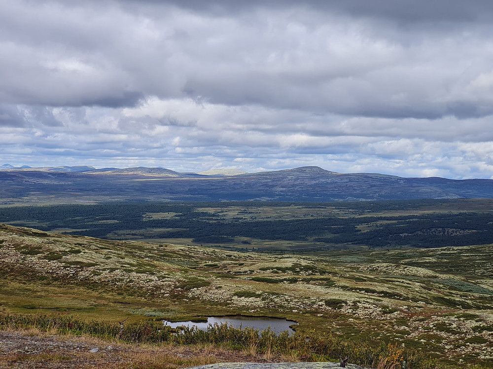 På Goppollfjellet