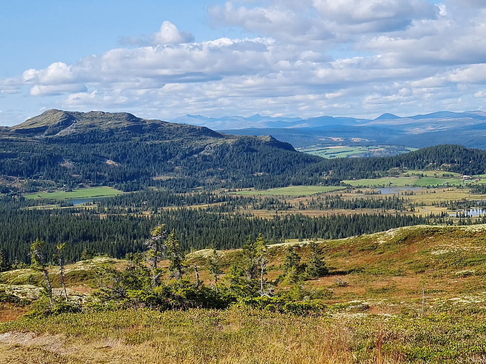 På Rokkfjellet, mot Svangkampen, Rondane og Muen
