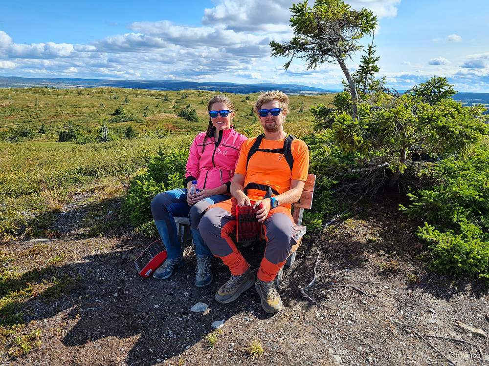 På Skinnfjellet