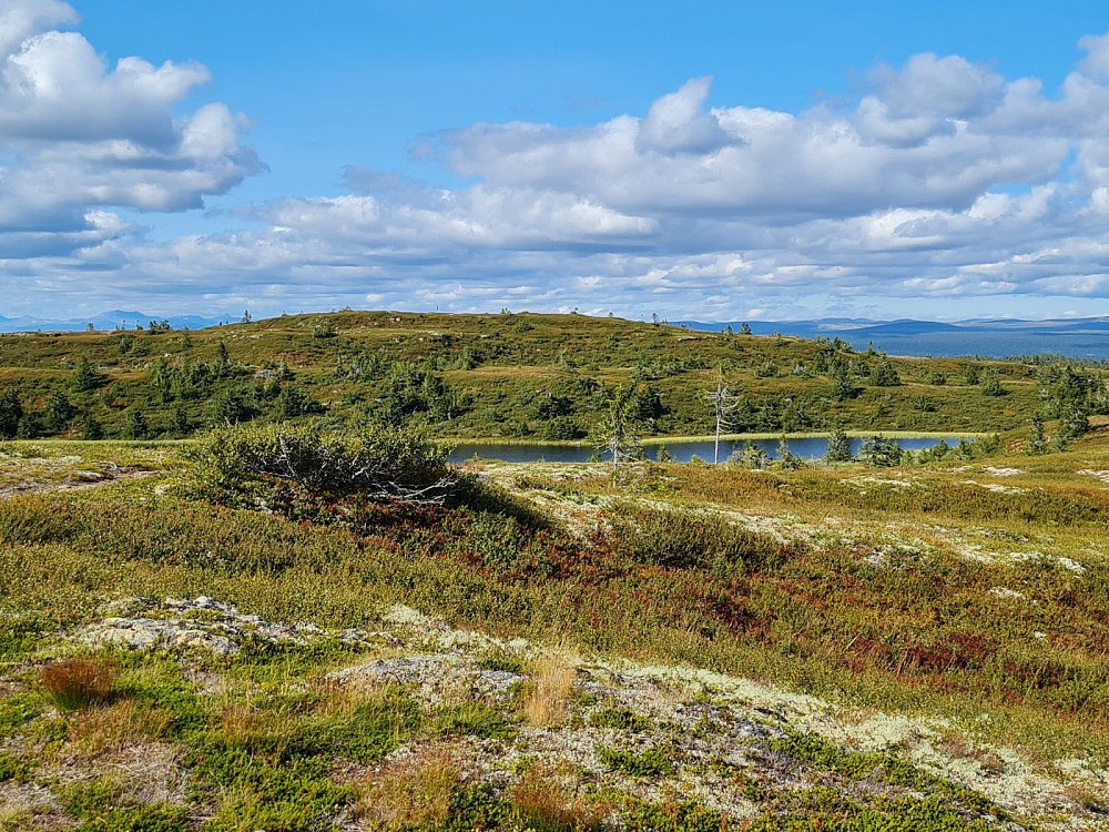 På Søre Skinnfjellet, mot Skinnfjellet