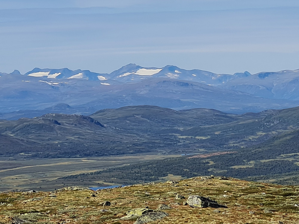 På Ongsjøfjellet, mot Jotunheimen, Tjørnholstind midt i bildet