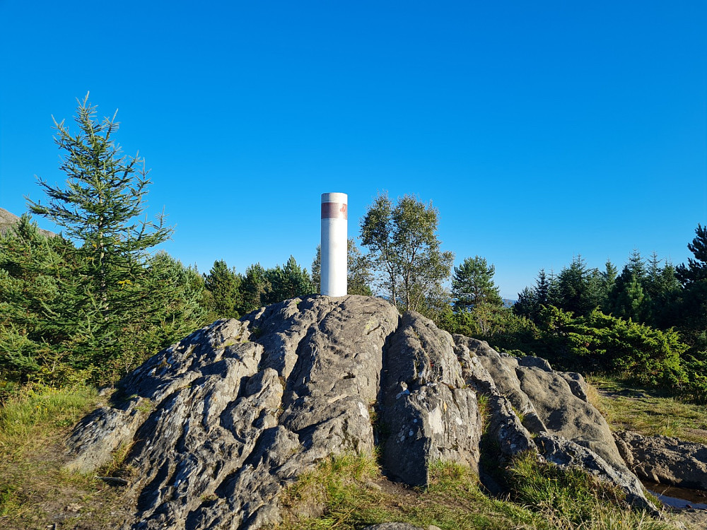 Grøntua