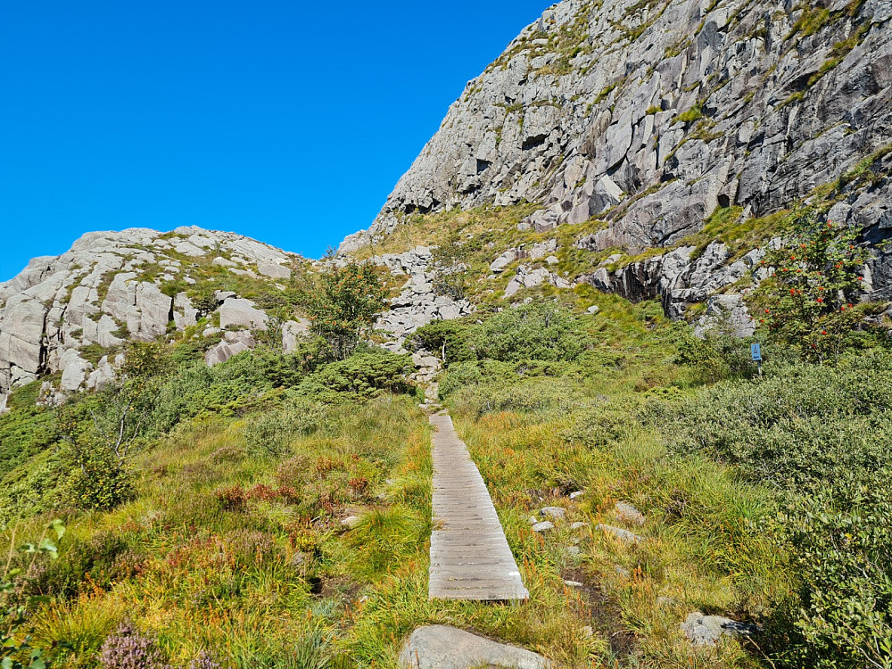 Tilbakeblikk på nedturen