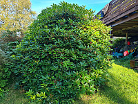 repelo_20210829_612b311e1b09f.jpg