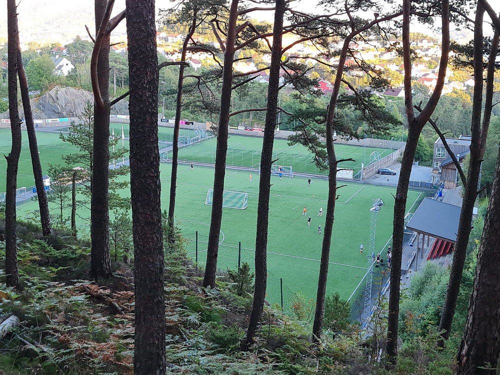 Follese stadion