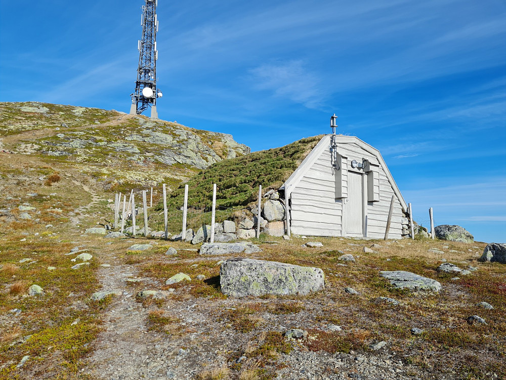 Halnekollen