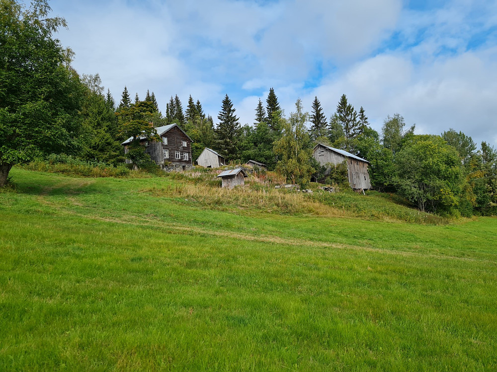 Hammershaug