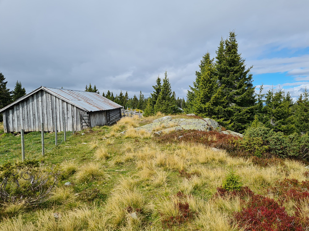 Rindåsen