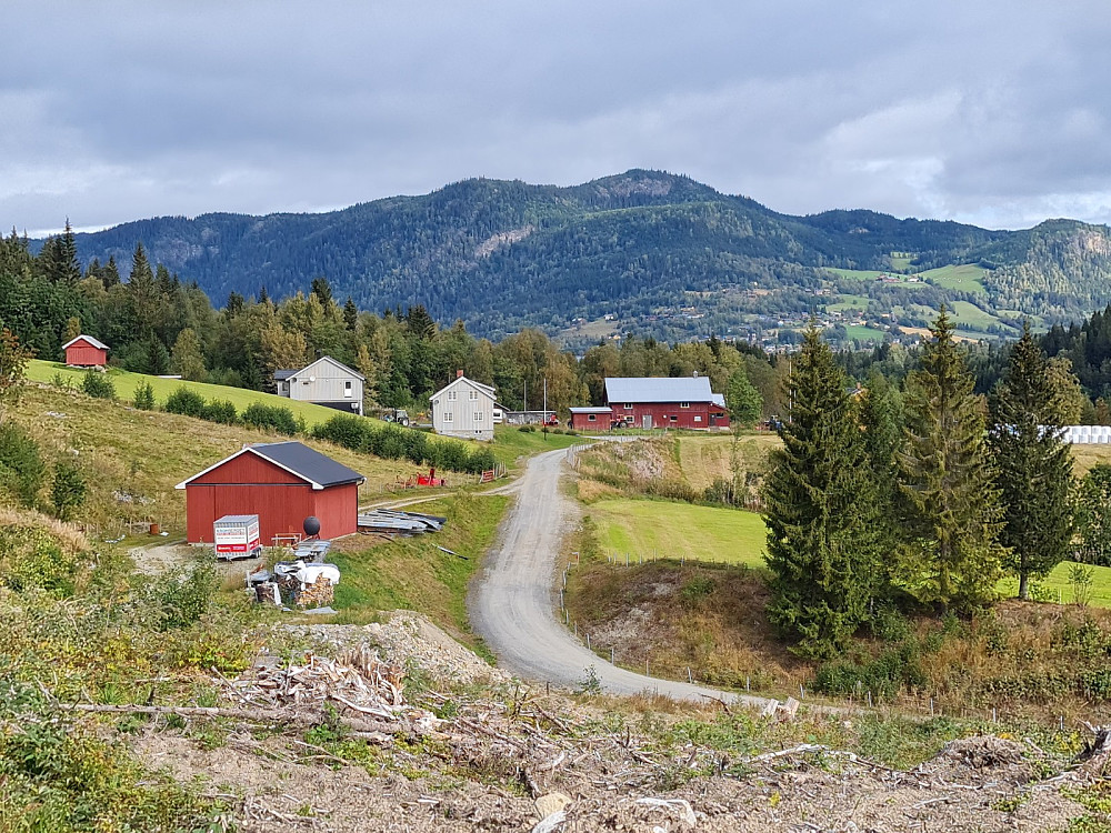Forsethaugen