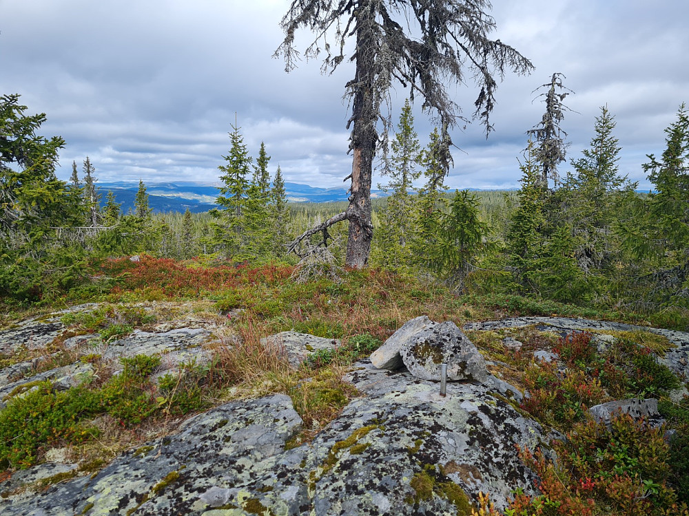 Rindåsen trigpunkt