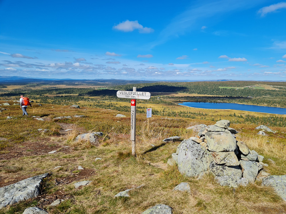 På Veslefjellet