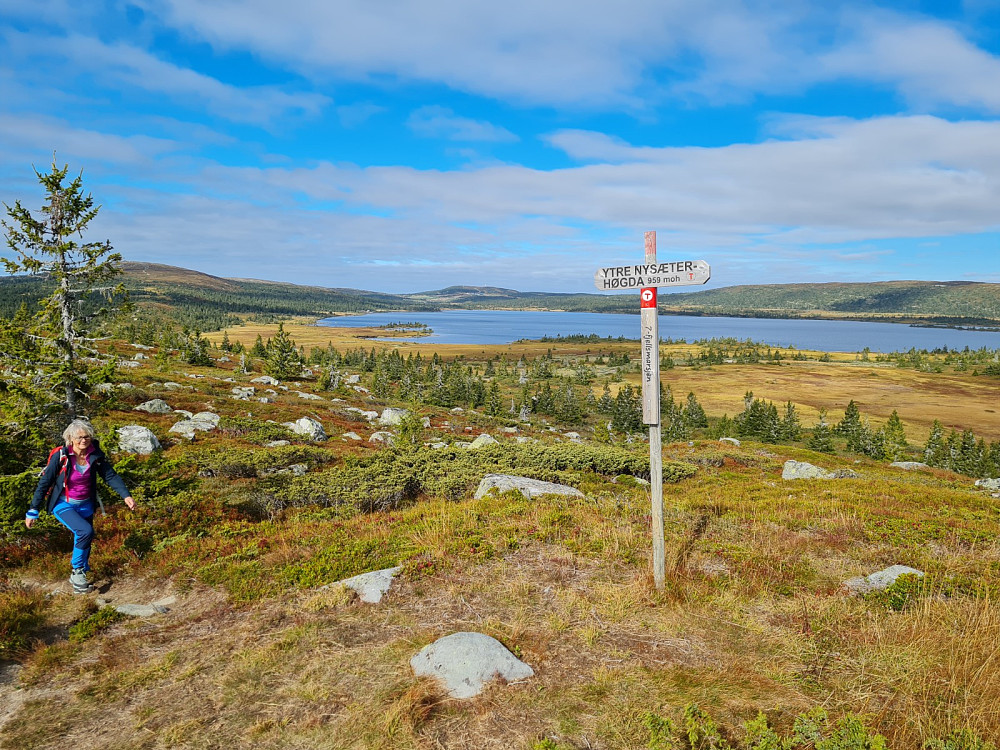 På Ytre Nyseterhøgda