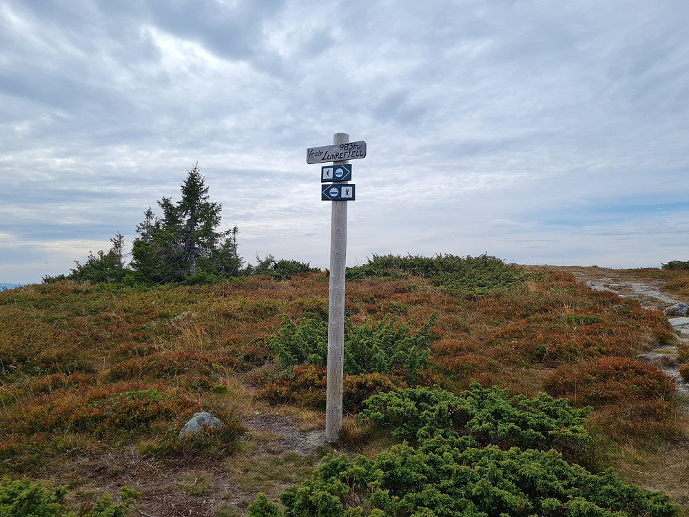 Vesle Lunkefjell 985 moh