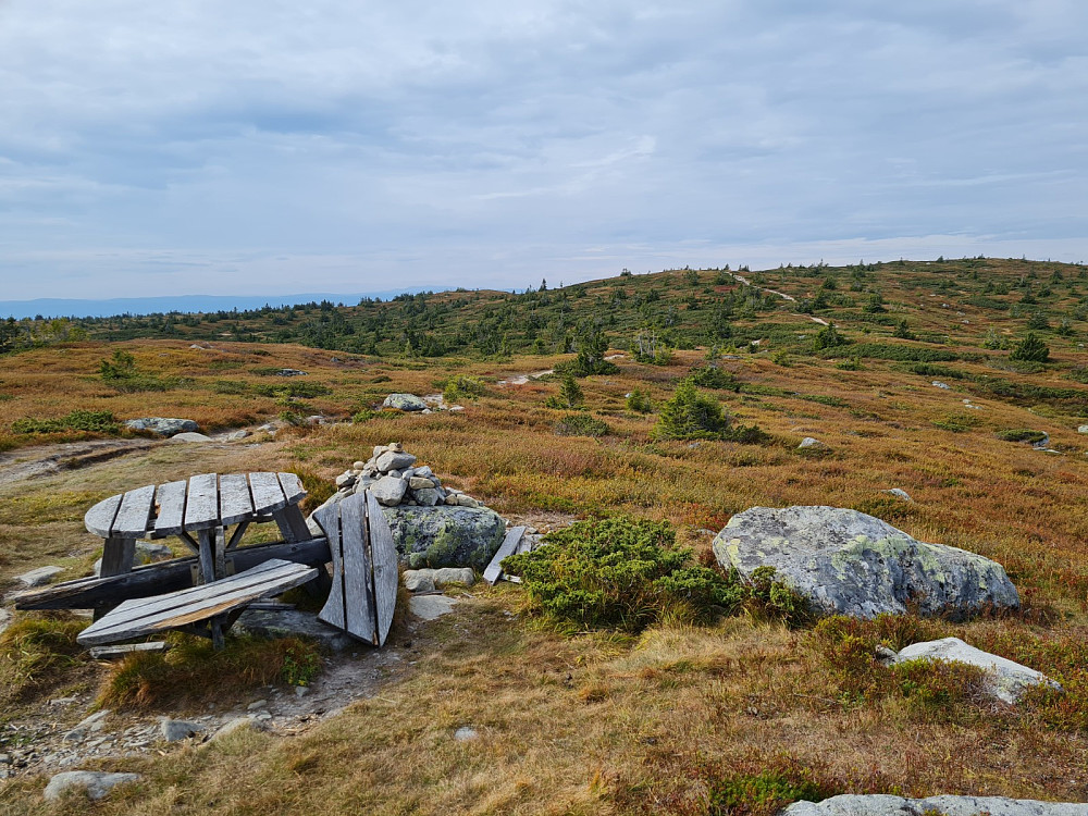 Lunkefjellet øst 994 moh