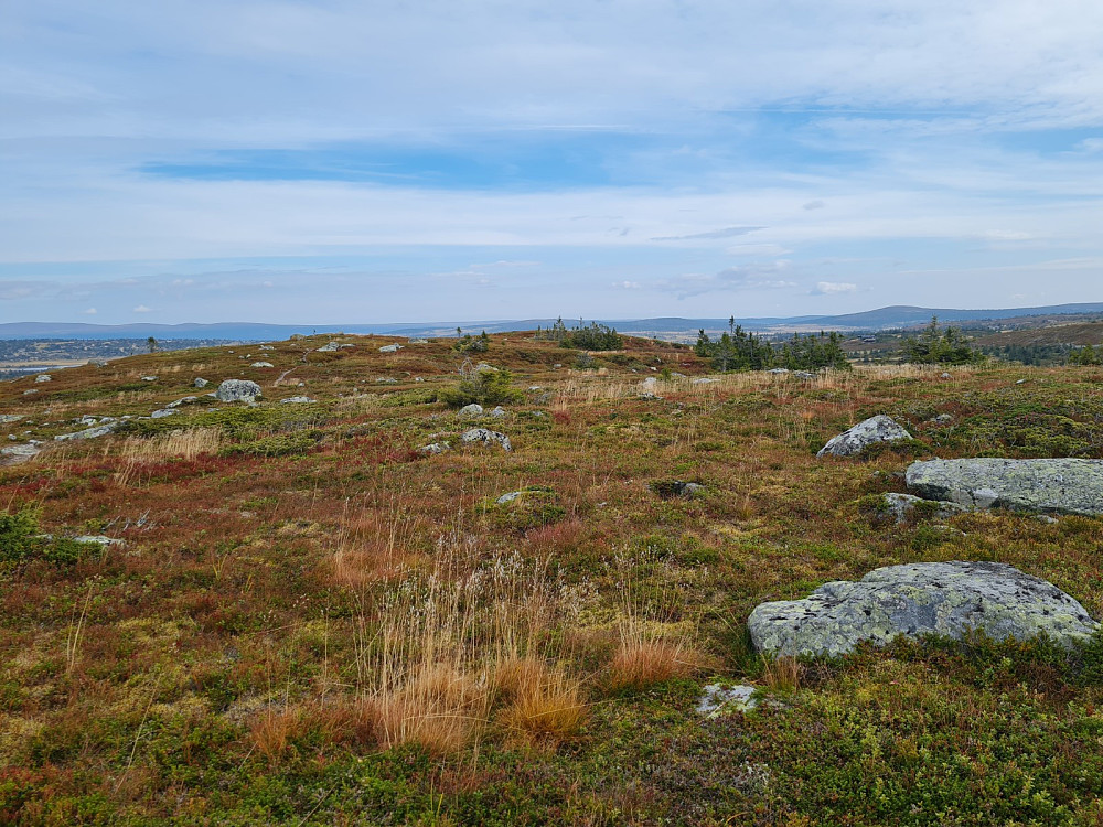 Høgfjellet 1002 moh