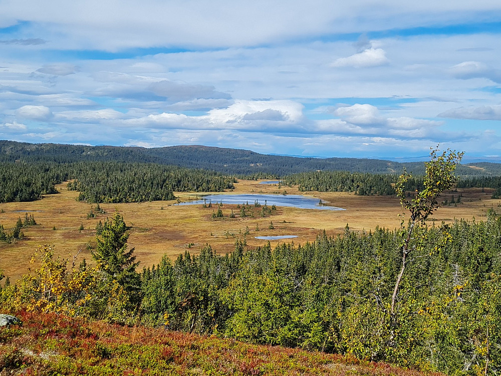 På Storhaugen, mot Erstjønnet og Hærfjellet