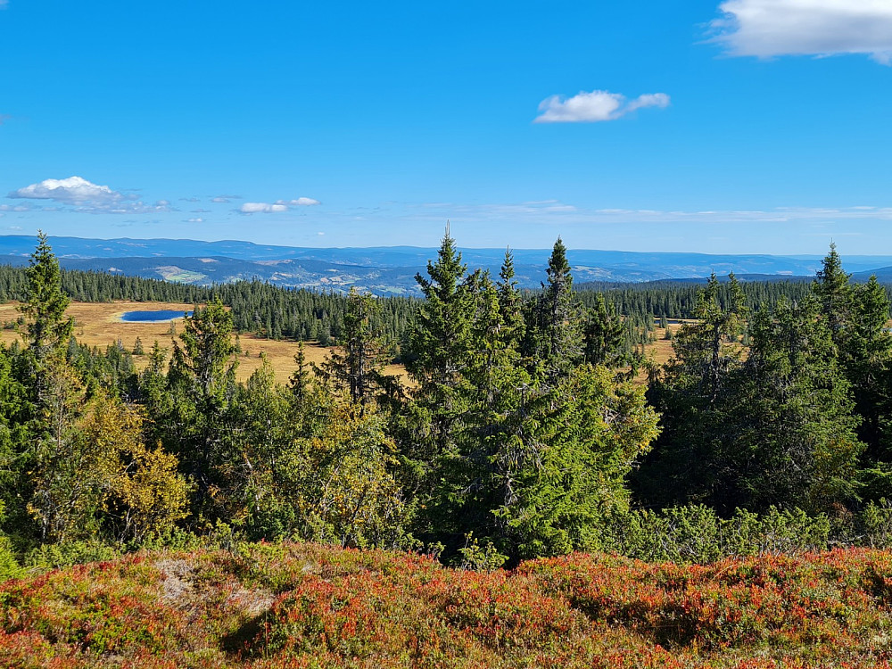 På Storhaugen, mot Gåstjernet og Demmtjernet